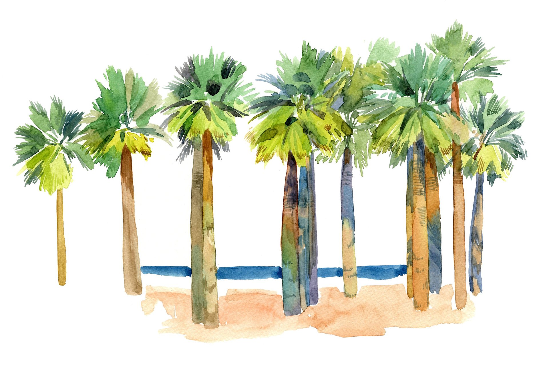 Sketch from nature showing California coastal scene